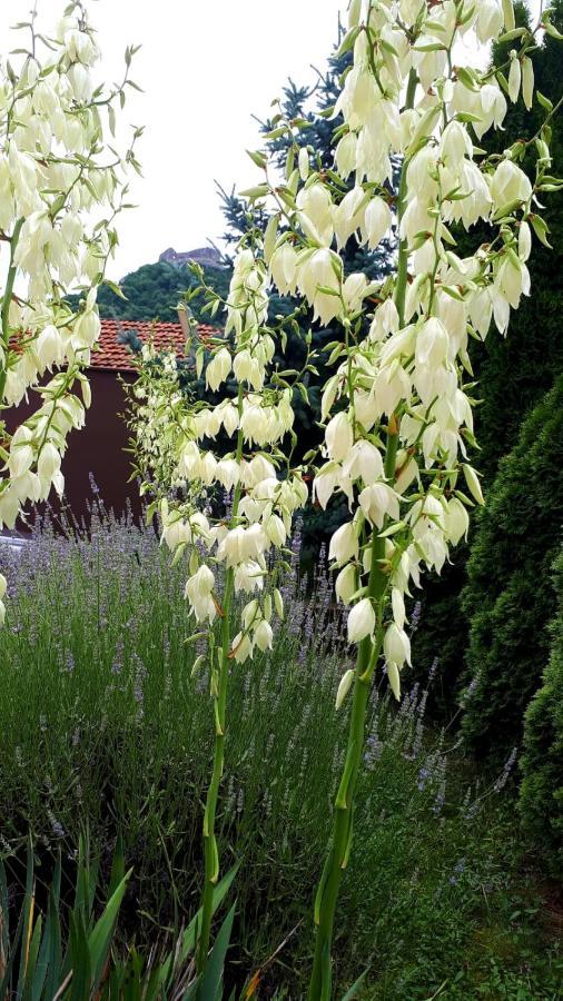 Silva House Hotel Deva Eksteriør billede